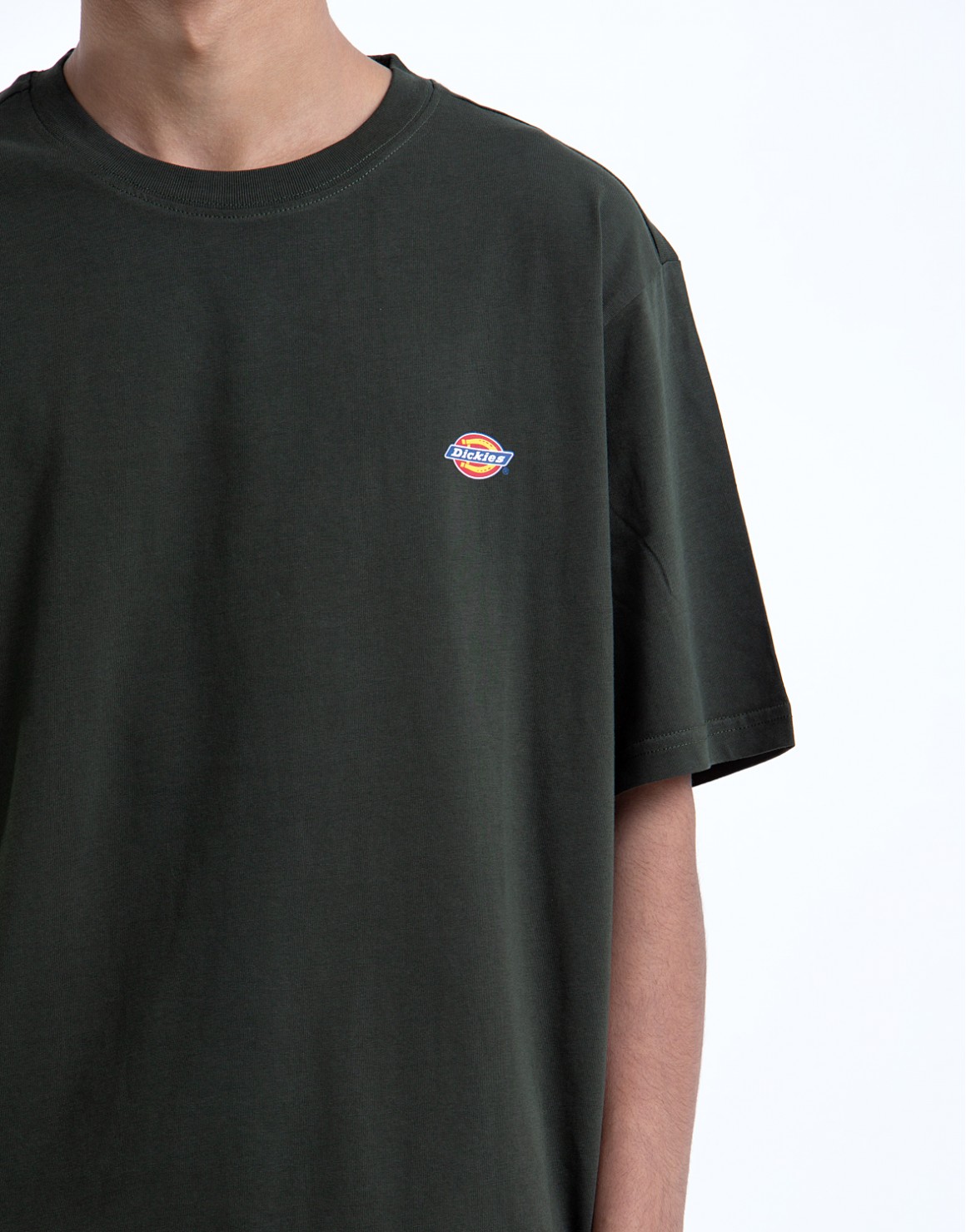 Dickies Mapleton T-shirt (olive green)