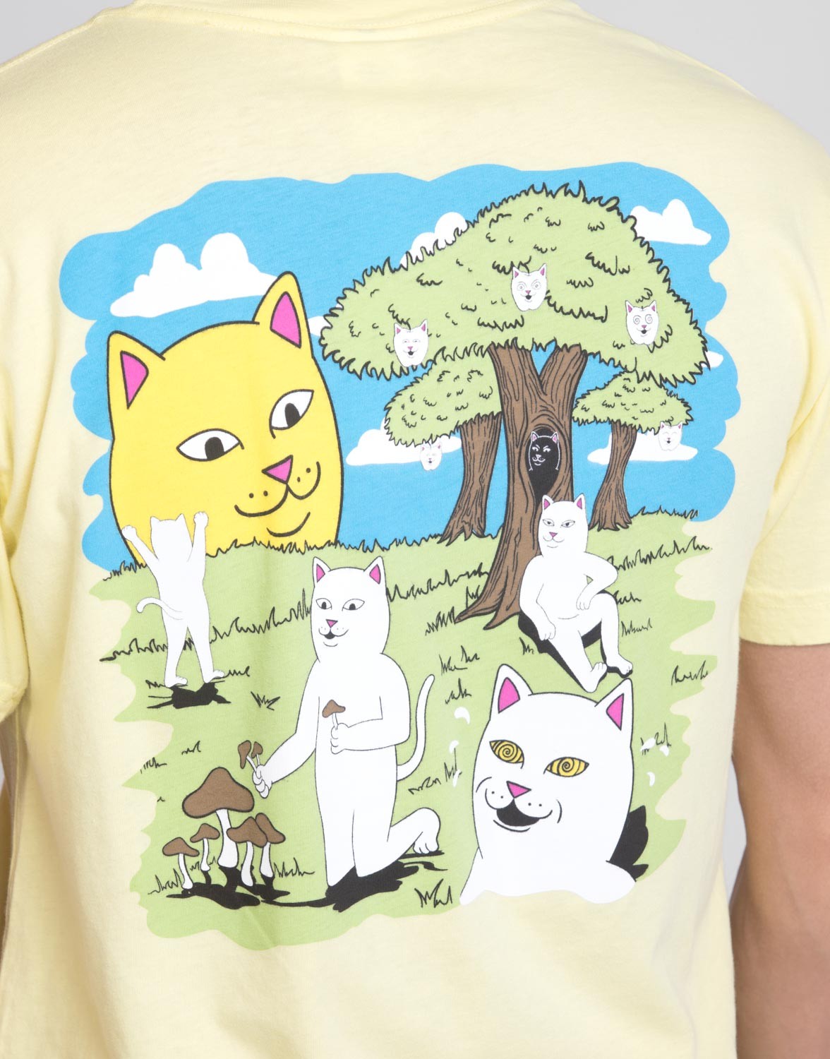 Park Day Tee