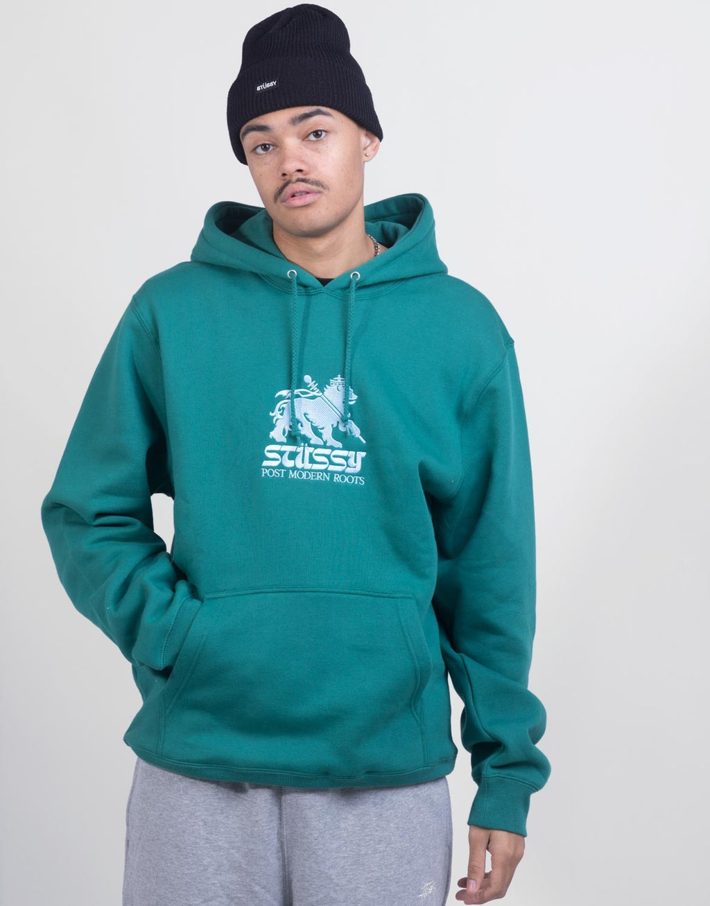 Stüssy Lion App. Hoodie