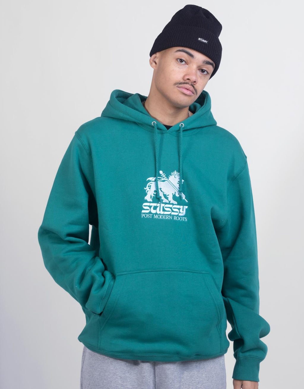 Stüssy Lion App. Hoodie