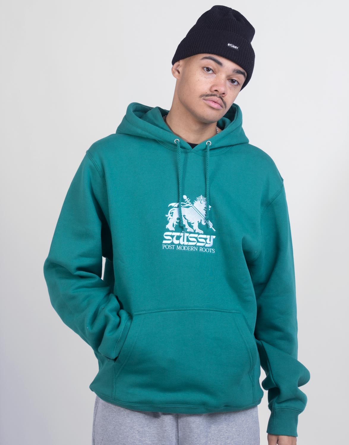 Stüssy Lion App. Hoodie