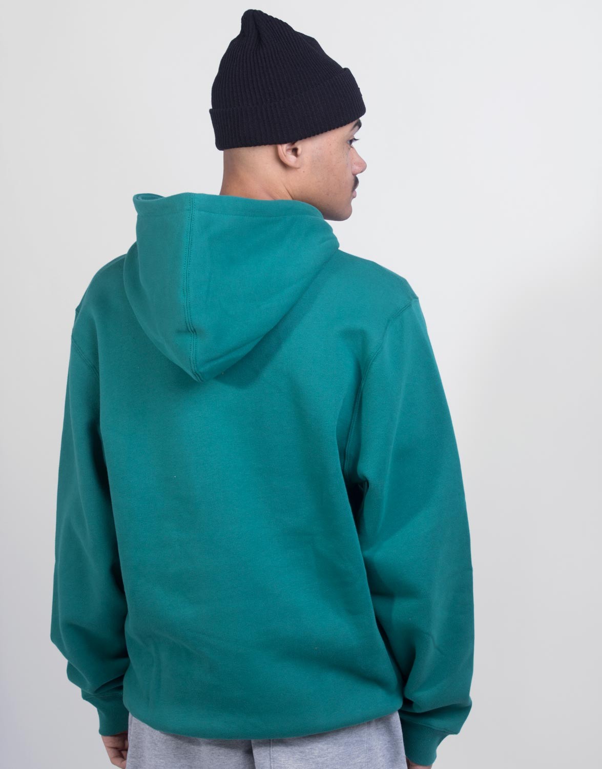 Stüssy Lion App. Hoodie